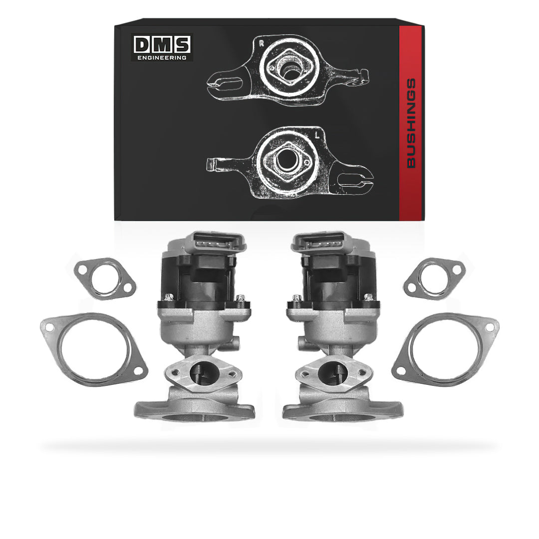 Land Rover Discovery III L319 (2007 - 2009) 2.7L EGR Valve + Gasket