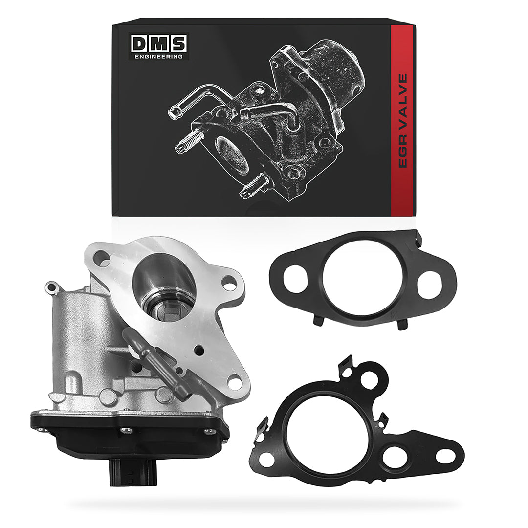 Nissan Navara D23 NP300 (2015 - 2025) Diesel EGR Valve + Gaskets