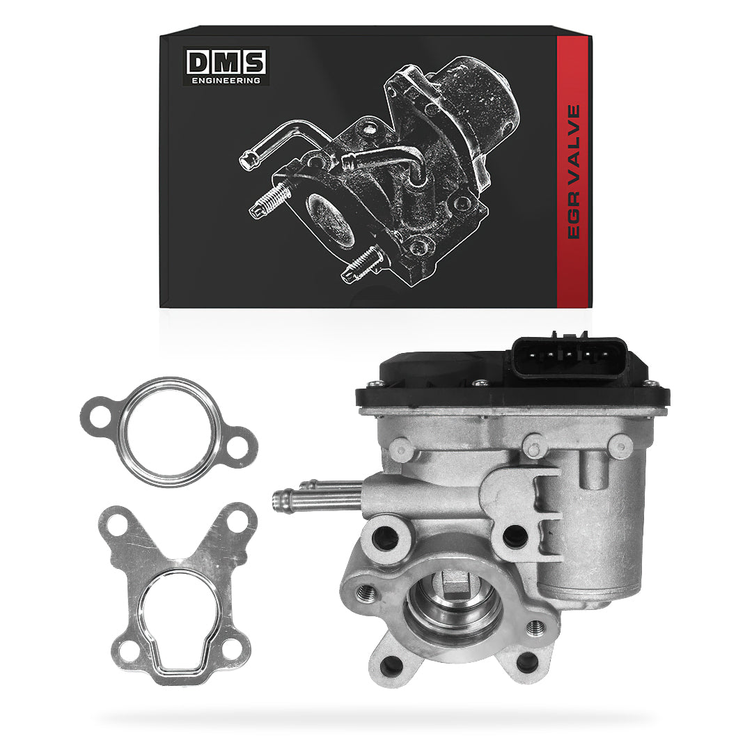 Nissan Navara D40 (2005 - 2016) EGR Valve + Gaskets
